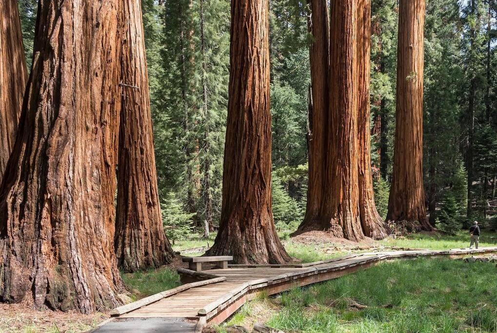Sequoia Cabin By The River Three Rivers Exterior photo