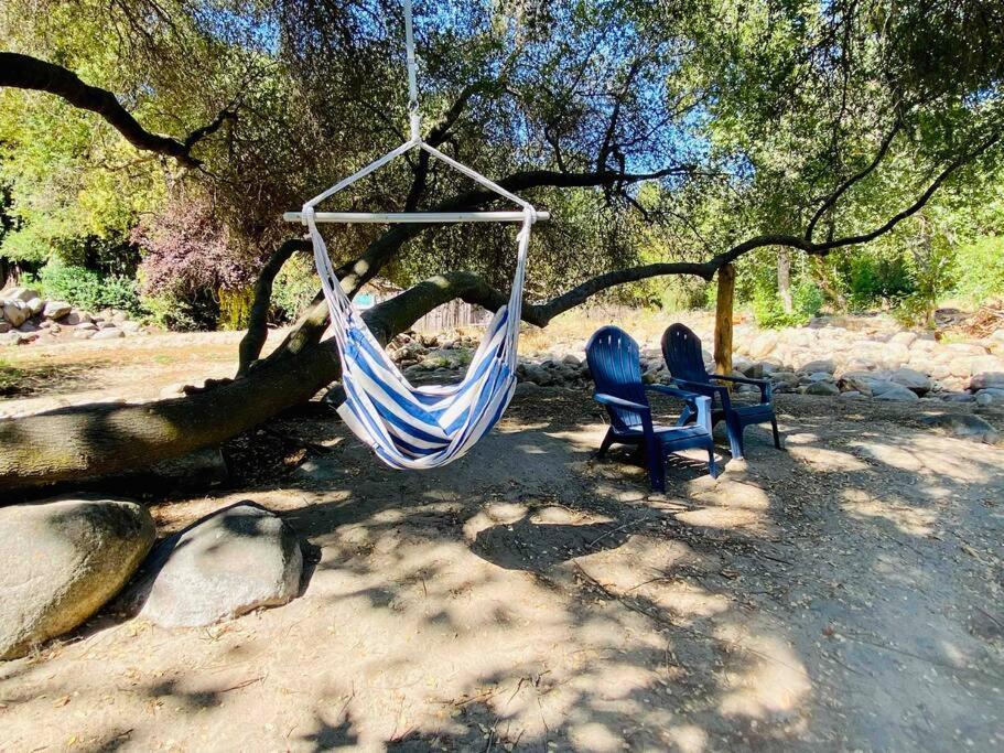 Sequoia Cabin By The River Three Rivers Exterior photo