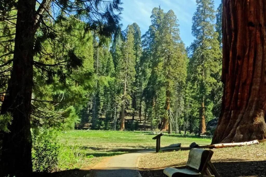 Sequoia Cabin By The River Three Rivers Exterior photo